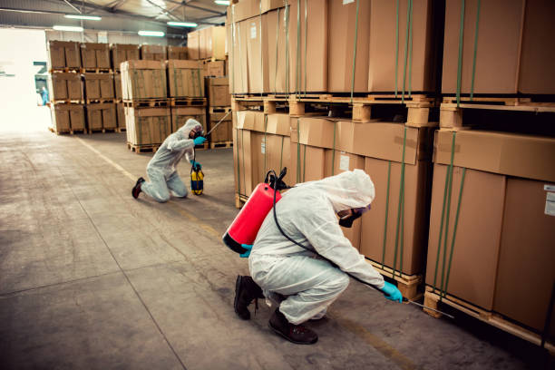 Best Cockroach Control Services  in Flemington, GA