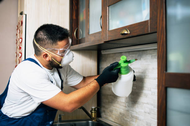 Best Termite Control Services  in Flemington, GA