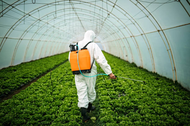Best Affordable Pest Control Services  in Flemington, GA