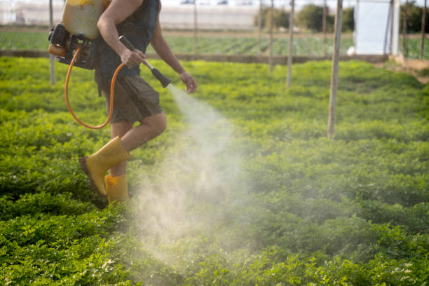 Best Affordable Pest Control Services  in Flemington, GA