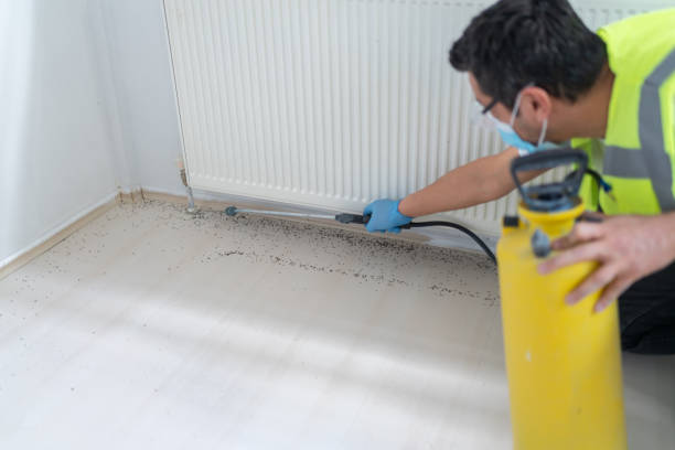 Best Flea Control Services  in Flemington, GA